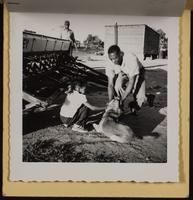 ku-nicodemus:7867-12