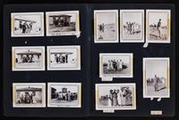 ku-nicodemus:7913-12