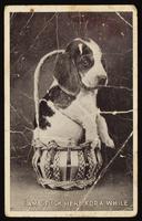 ku-nicodemus:8404-54