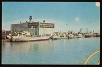 ku-nicodemus:8404-74