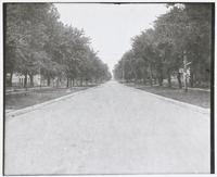 Residential Street Scene