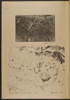 ku-publicnotice:275-6