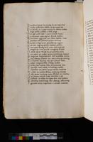 ku-speccoll:9652-364