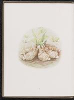 ku-speccoll:10454-12