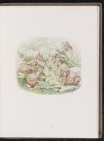 ku-speccoll:10454-27