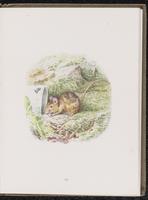 ku-speccoll:10454-33