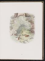 ku-speccoll:10454-39