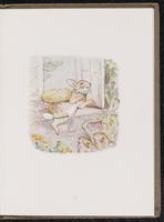 ku-speccoll:10454-81