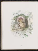 ku-speccoll:10454-88