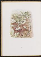 ku-speccoll:10683-42