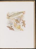 ku-speccoll:10683-51