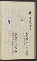 ku-speccoll:11443-30