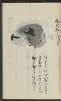 ku-speccoll:11443-31