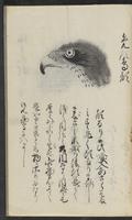 ku-speccoll:11443-33
