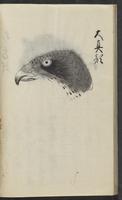 ku-speccoll:11443-36
