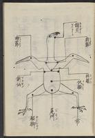 ku-speccoll:11506-55