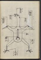 ku-speccoll:11506-56