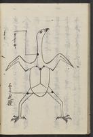 ku-speccoll:11506-70