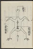 ku-speccoll:11506-71