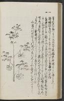 ku-speccoll:11753-34