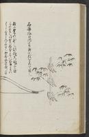 ku-speccoll:11753-36