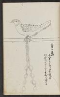 ku-speccoll:11753-39