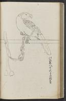 ku-speccoll:11753-44