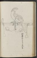 ku-speccoll:11753-48