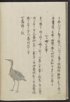 ku-speccoll:11808-17