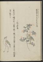 ku-speccoll:11808-19