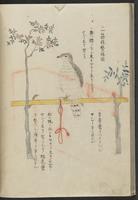 ku-speccoll:11808-25