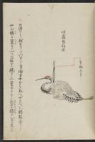 ku-speccoll:11808-28