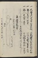 ku-speccoll:11846-28