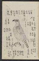 ku-speccoll:11846-33