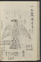 ku-speccoll:11846-34