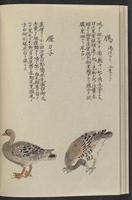 ku-speccoll:11885-122