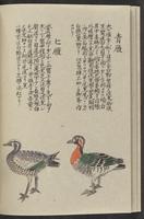 ku-speccoll:11885-124