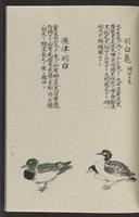 ku-speccoll:11885-129