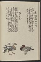 ku-speccoll:11885-130