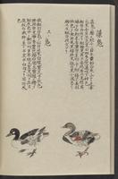 ku-speccoll:11885-132