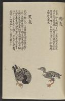 ku-speccoll:11885-133