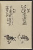 ku-speccoll:11885-136