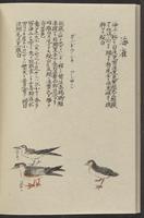 ku-speccoll:11885-140