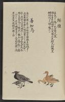 ku-speccoll:11885-141