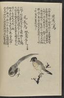 ku-speccoll:11885-152