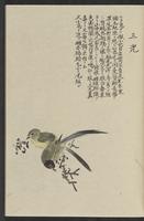 ku-speccoll:11885-153