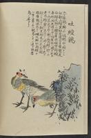 ku-speccoll:11885-154