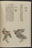 ku-speccoll:11885-156