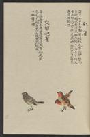 ku-speccoll:11885-157