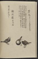 ku-speccoll:11885-158